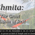 Shmita: The Great Wisdom of Rest