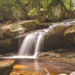 Natural Wonders: Torah Out of Doors (Wildwood)