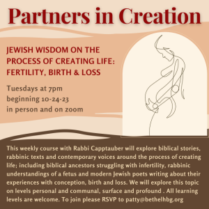 Partners in Creation