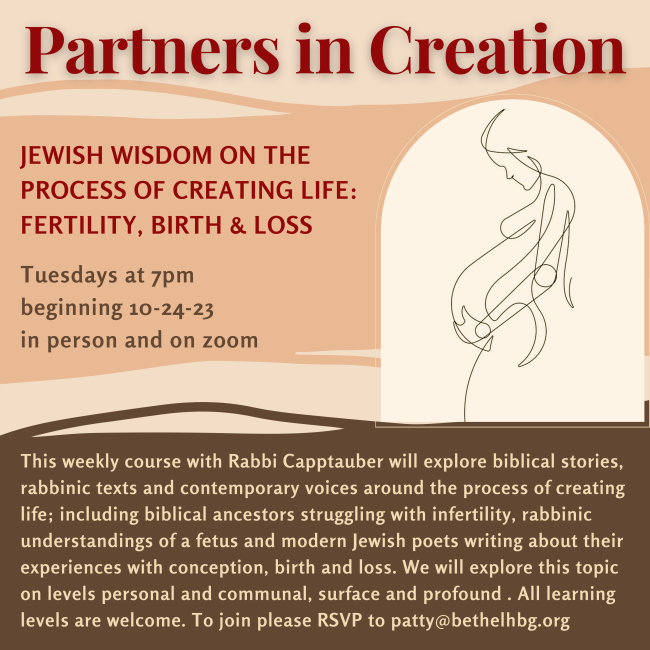 Partners in Creation