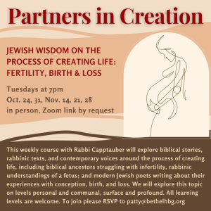 Partners in Creation