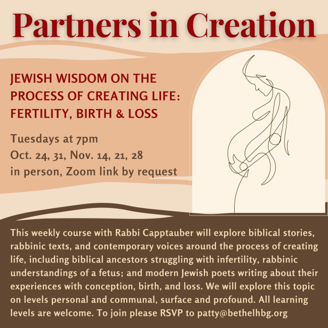 Partners in Creation