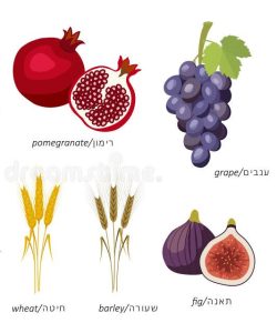 Tu B'Shevat
