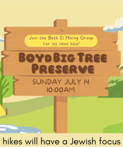 Boyd Big Tree Preserve hike