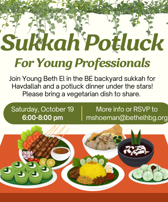 Sukkah Potluck for Young Professionals