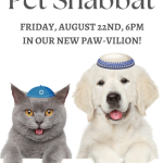 Friday Night Services: Pet Shabbat
